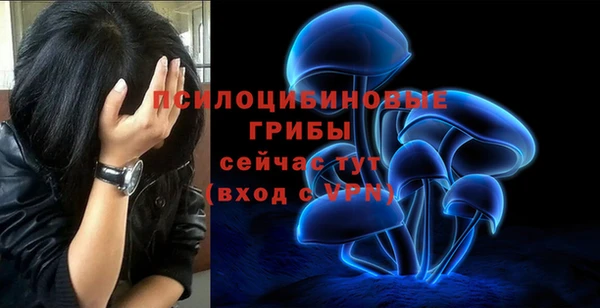 таблы Алексин